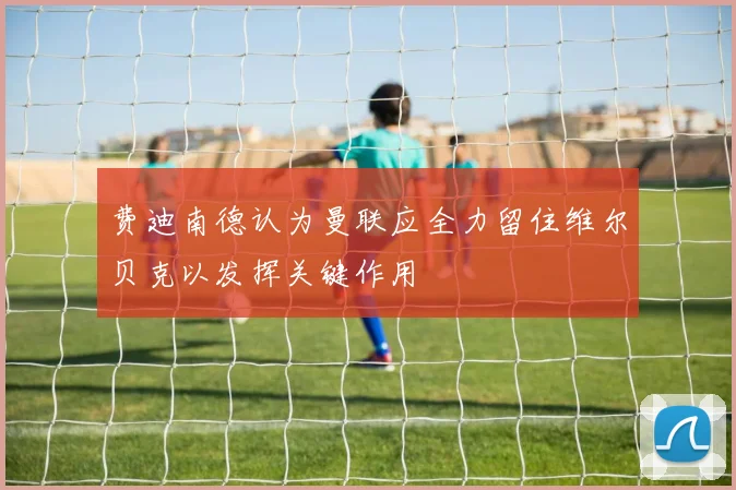 费迪南德认为曼联应全力留住维尔贝克以发挥关键作用